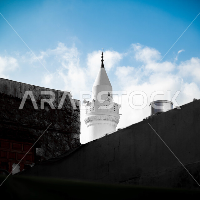 الفن المعماري والطراز الإسلامي , صورة مقربة لقبة مسجد الجفالي بجانب حديقة بحيرة الأربعين في جدة التاريخية في المملكة العربية السعودية على الواجهه البحرية , العبادة والتقرب الى الله, معالم دينيه اسلامية مقدسة مشهورة .