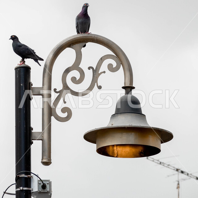  الفن المعماري القديم في المملكة العربية السعودية، صورة مقربة للأضواء الليلية في الطرقات, المدينة الأثرية التاريخية, معالم وأماكن سياحية مشهورة، الأحياء الشعبية والنوافذ الخشبية, البيوت السكنية في الأزقة .