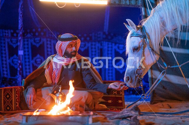  ملاطفة الخيول والاعتناء بهم، قضاء أوقات ممتعة في الصحراء السعودية، كشتة بر وتخييم في الأجواء الشتوية، رجل عربي خليجي سعودي يرتدي الفروة والشماغ يجلس داخل خيمة شعبية تراثية
