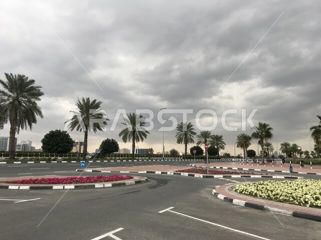 النمو والتطور العمراني للبنية التحتية في شوارع وطرقات دبي المعبدة, فنون الهندسة الزراعية في الإمارات العربية المتحدة, الاهتمام بزراعة أشجار النخيل والنباتات الخضراء في منطقة الممزر, منظر السماء الغائمة, الأجواء الشتوية الماطرة, الغيوم الداكنة المتجمعة .