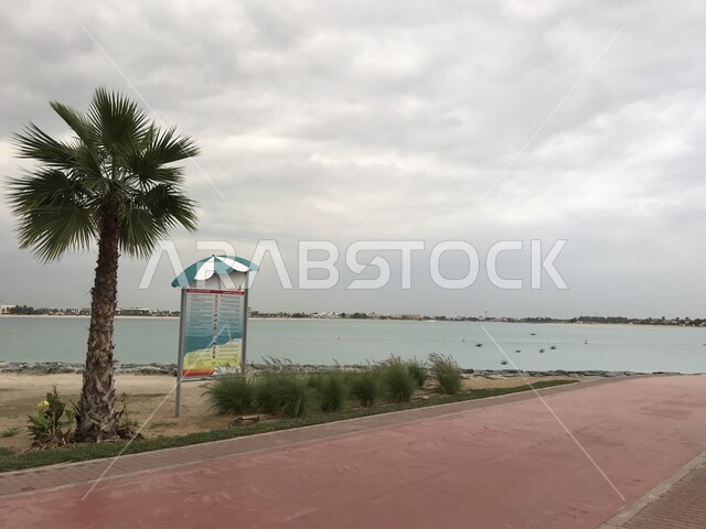 إطلالة متميزة على كورنيش الممزر السياحي في إمارة دبي في وضع النهار، الواجهة البحرية الرومانسية في الإمارات العربية المتحدة، الطبيعة البحرية الساحلية, الاهتمام بزراعة أشجار النخيل, منظر السماء المليئة بالغيوم .