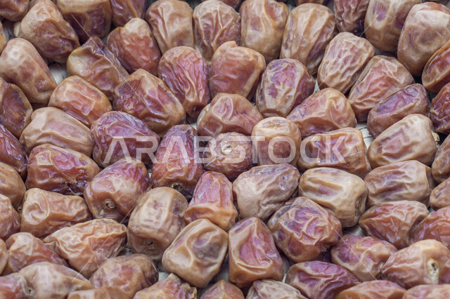 حصاد النخيل في مزارع المملكة، الأنواع المختلفة من التمور الصحية اللذيذة، صورة مقربة لحبات التمر، منتجات محلية سعودية وطنية، ضيافة رمضانية شهية، وجبة غذائية صحية ذات أهمية عاليه