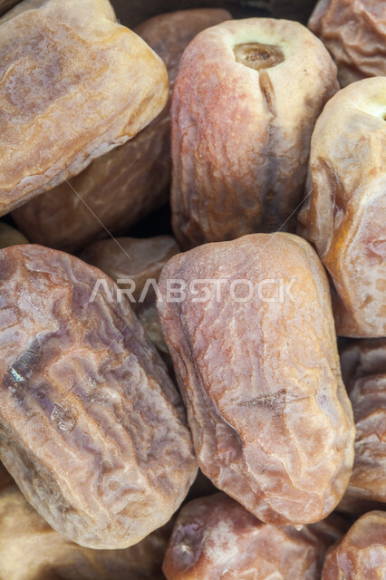 حصاد النخيل في مزارع المملكة، الأنواع المختلفة من التمور الصحية اللذيذة، صورة مقربة لحبات التمر، منتجات محلية سعودية وطنية، ضيافة رمضانية شهية، وجبة غذائية صحية ذات أهمية عاليه