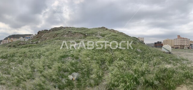 الجبال والمروج الخصبة في فصل الربيع, التكوينات والتشكيلات الصخرية, الطبيعه الجبليه الخضراء في المملكة العربية السعودية بعد هطول الأمطار الغزيره, القمم والهضاب والمرتفعات في مكة المكرمة, خلفية السماء الملبدة بالغيوم