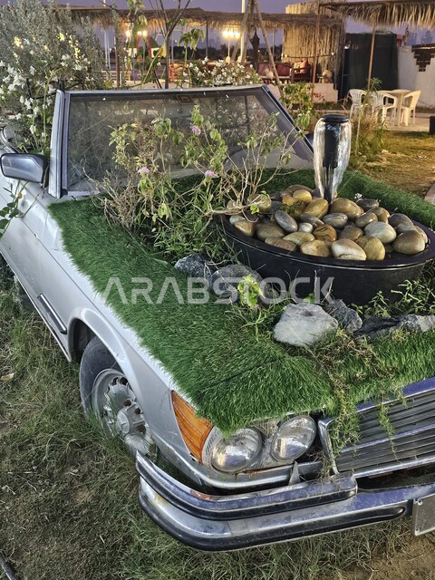 التصاميم والديكورات الداخلية لحديقة الحيوان في منطقة الزوراء في مدينة عجمان, معالم سياحية في دولة الامارات العربية المتحدة, أماكن جذب الزوار من شتى أنحاء العالم, الاستمتاع بالمناظر الطبيعية وقضاء الوقت الممتع