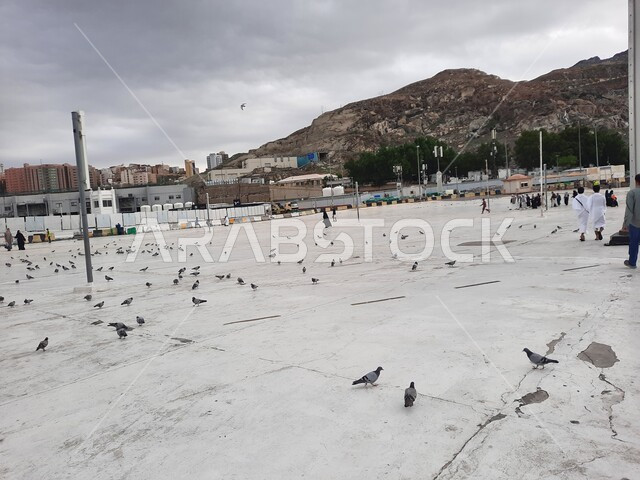 القمم والمرتفعات الجبلية، طيور الحمام في الساحات الخارجية للمسجد الحرام في مكة المكرمة، أداء العبادات والتقرب الى الله, أماكن ومعالم دينية اسلامية مقدسة, مقصد المسلمين من مختلف البلدان، خلفية السماء الملبدة بالغيوم