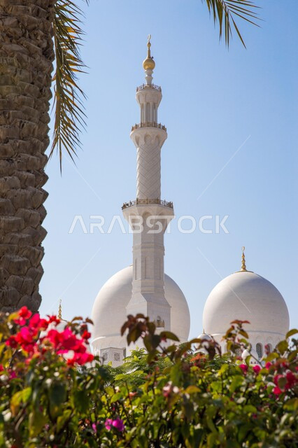 أماكن ومعالم دينية إسلامية في الإمارات العربية المتحدة، الفن الهندسي المعماري على الطراز العربي الإسلامي، صورة مقربة للأزهار والنباتات الخضراء أمام مسجد الشيخ زايد بن سلطان آل نهيان في مدينة أبو ظبي في وضح النهار، اسلاميات وعبادة