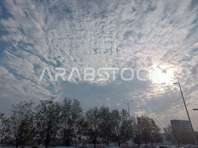 الاستمتاع بالمناظر الطبيعية, السماء والغيوم البيضاء القطنية, الأشجار والنباتات الخضراء في طرقات المملكة العربية السعودية, حركة مرور السيارات في شوارع المدن في وقت النهار