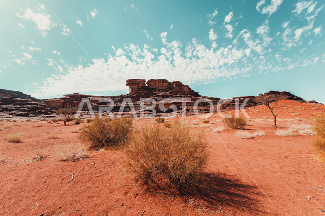 معالم سياحية طبيعية مشهورة في الصحراء العربية, أشكال الصخور المختلفة في المناطق الصحراوية, التكوينات والتشكيلات الصخرية في محافظة العلا في السعودية, أماكن الجذب واستقطاب السياح من شتى أنحاء العالم, الحضارة والآثار التاريخية القديمة