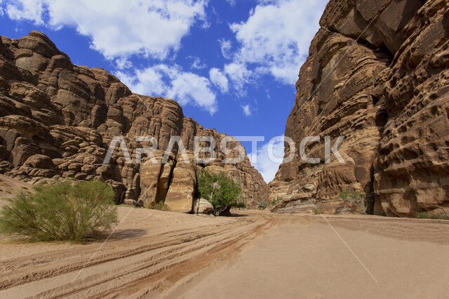  المناطق الصحراوية والكثبان الرملية في البراري، معالم اثرية تاريخية قديمة، اماكن سياحية مشهورة في المملكة العربية السعودية، المحميات الطبيعية الصحراوية، سلسلة الجبال والتكوينات والتشكلات الصخرية في منطقة تبوك