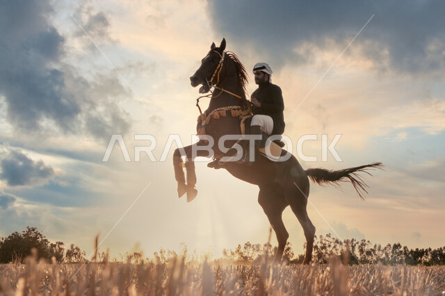 فارس عربي سعودي خليجي يرتدي زي الفروسية يمتطي فرسه في وقت غروب الشمس، ممارسة هواية ركوب الخيل، توارث حب الخيول بين ابناء الوطن، قضاء وقت ممتع مع جواد أصيل في الطبيعة الصحراوية، محميات لتدريب الجياد في المملكة العربية السعودية
