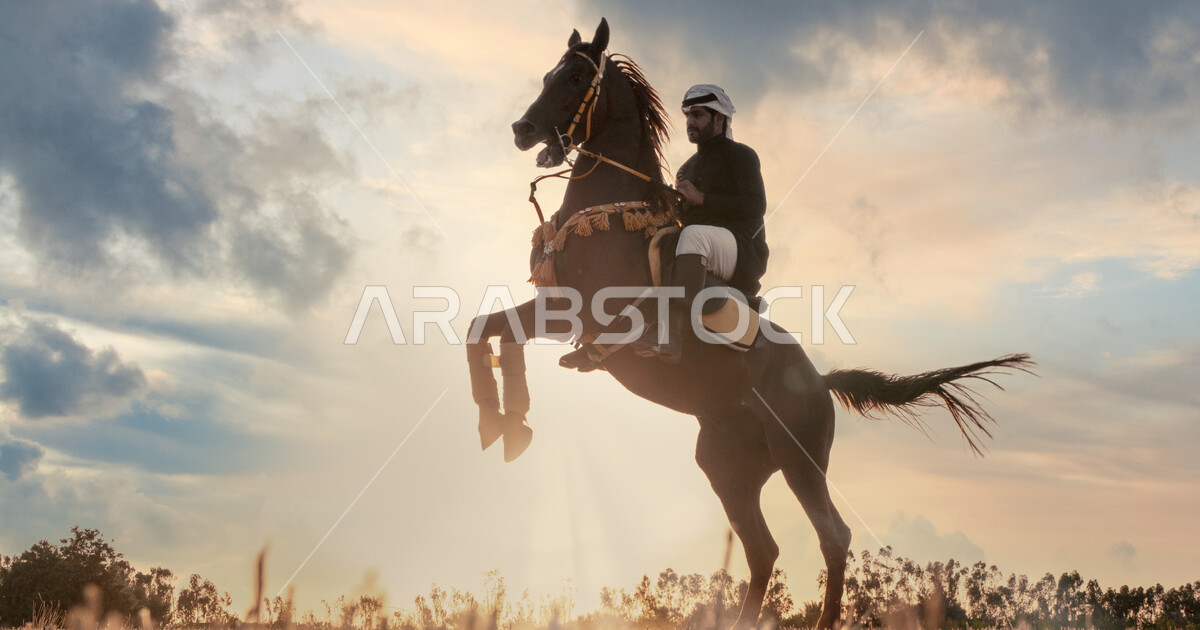 A Saudi Gulf Arab rider wearing equestrian uniform riding his horse at ...