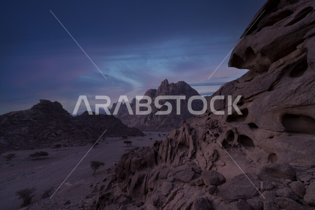 الأعشاب والنباتات البرية في المناطق الصحراوية، سلسلة الجبال والتكوينات والتشكلات الصخرية في منطقة تبوك، اماكن سياحية مشهورة في المملكة العربية السعودية، القمم و المرتفعات الجبلية في إحدى المحميات الطبيعية, خلفية الطبيعه