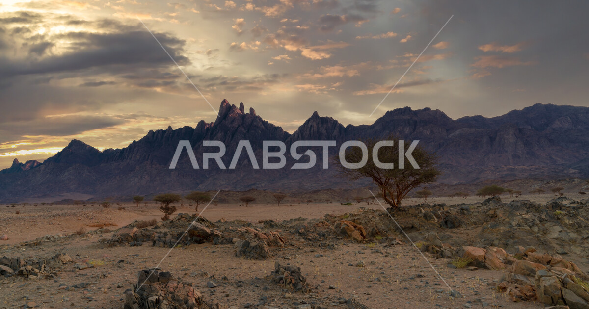 Arabian Ranges Photos Famous tourist places in the Kingdom of Saudi Arabia, herbs and wild ...