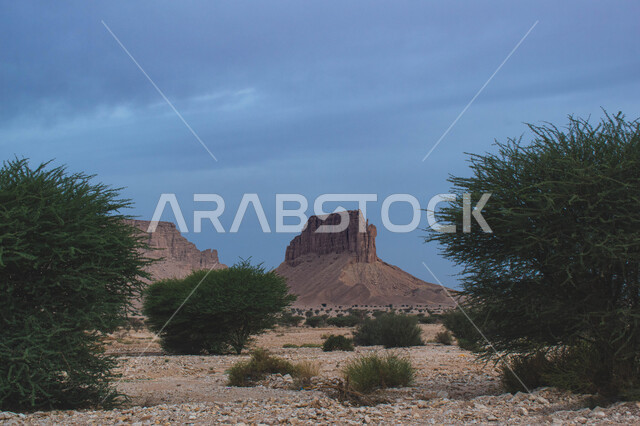 سلسلة جبال طويق في نجد وضح النهار، حافة نهاية العالم الصخرية في صحراء الرياض في المملكة العربية السعودية، معالم طبيعية اثرية سياحية مشهورة، الطبيعة الصحراوية والتضاريس الجبلية والنباتات الخضراء في السعودية