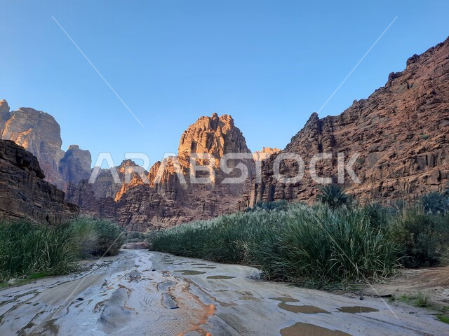 Rock formations and formations in Wadi Al-Disa in the Tabuk region, interest in agriculture and afforestation in tourist cities, desert areas and sand dunes in the prairies, famous ancient historical monuments in the Kingdom of Saudi Arabia.