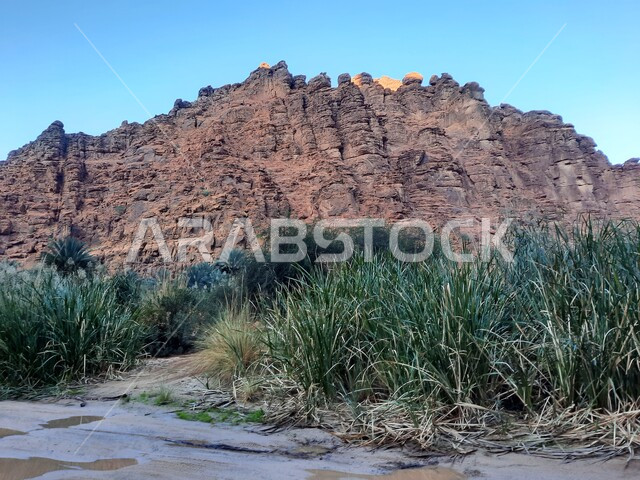 التكوينات والتشكلات الصخرية في وادي الديسة في منطقة تبوك، الاهتمام بالزراعة والتشجير في المدن السياحية، المناطق الصحراوية والكثبان الرملية في البراري، معالم اثرية تاريخية قديمة مشهورة في المملكة العربية السعودية