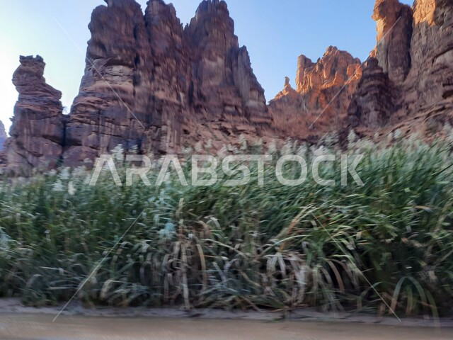 المناطق الصحراوية ووالكثبان الرملية في البراري، سلسلة الجبال والتكوينات والتشكلات الصخرية في وادي الديسة في منطقة تبوك، الاهتمام بالزراعة والتشجير في المدن السياحية، معالم اثرية تاريخية قديمة مشهورة في المملكة العربية السعودية