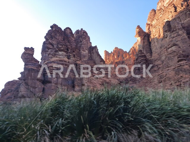 معالم اثرية تاريخية قديمة مشهورة في المملكة العربية السعودية، المناطق الصحراوية ووالكثبان الرملية في البراري، سلسلة الجبال والتكوينات والتشكلات الصخرية في وادي الديسة في منطقة تبوك، الاهتمام بالزراعة والتشجير في المدن السياحية