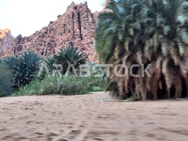 سلسلة الجبال والتكوينات والتشكلات الصخرية في وادي الديسة في منطقة تبوك، الاهتمام بالزراعة والتشجير في المدن السياحية، المناطق الصحراوية والأراضي الطينية في البراري، معالم اثرية تاريخية قديمة مشهورة في المملكة العربية السعودية