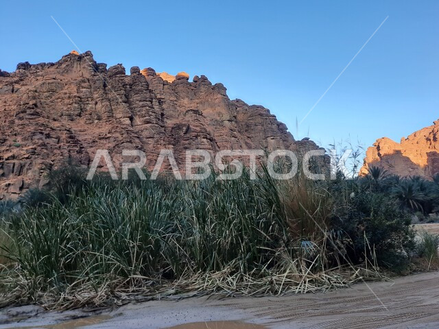 المناطق الصحراوية والأراضي الطينية في البراري، سلسلة الجبال والتكوينات والتشكلات الصخرية في وادي الديسة في منطقة تبوك، الاهتمام بالزراعة والتشجير في المدن السياحية، معالم اثرية تاريخية قديمة مشهورة في المملكة العربية السعودية
