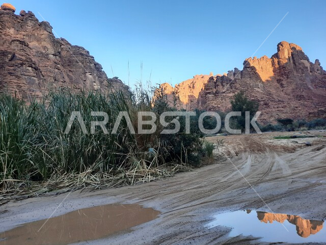 سلسلة الجبال والتكوينات والتشكلات الصخرية في وادي الديسة في منطقة تبوك، الاهتمام بالزراعة والتشجير في المدن السياحية، المناطق الصحراوية والأراضي الطينية في البراري، معالم اثرية تاريخية قديمة مشهورة في المملكة العربية السعودية