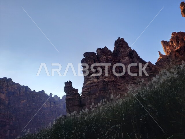 النباتات البرية الخضراء في المناطق الصحراوية، معالم اثرية تاريخية قديمة مشهورة في المملكة العربية السعودية، سلسلة الجبال والتكوينات والتشكلات الصخرية في وادي الديسة في منطقة تبوك، الاهتمام بالزراعة والتشجير في المدن السياحية