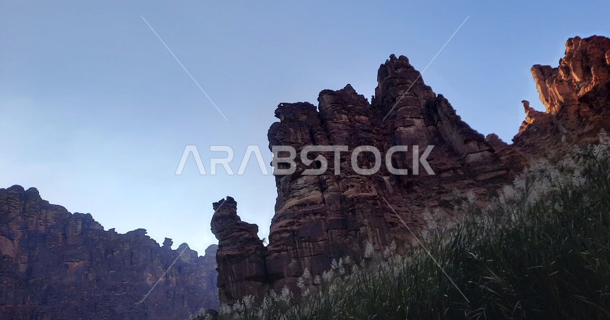Arabian Ranges Photos Green wild plants in desert areas, famous ancient historical monuments ...