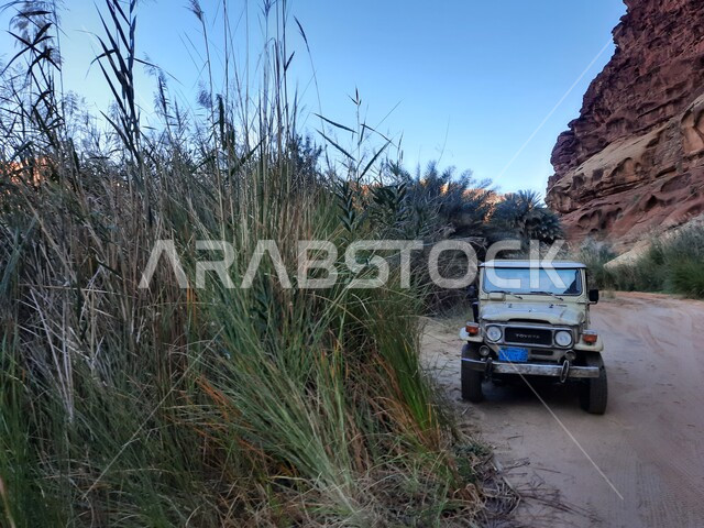 توافد السياح للقيام برحلات ومغامرات برية استكشافية في وادي الديسة، المناطق الصحراوية والكثبان الرملية في البراري، معالم اثرية تاريخية قديمة، اماكن سياحية مشهورة في السعودية، سلسلة الجبال والتكوينات والتشكلات الصخرية في منطقة تبوك 