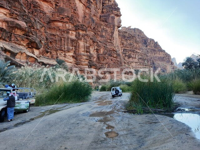 توافد السياح للقيام برحلات ومغامرات برية استكشافية في وادي الديسة، المناطق الصحراوية والكثبان الرملية في البراري، معالم اثرية تاريخية قديمة، اماكن سياحية مشهورة في السعودية، سلسلة الجبال والتكوينات والتشكلات الصخرية في منطقة تبوك 