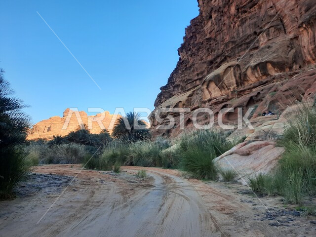 التكوينات والتشكلات الصخرية في وادي الديسة في منطقة تبوك، الاهتمام بالزراعة والتشجير في المدن السياحية، التضاريس والنحت الصخري في الأماكن الاثرية التاريخية المشهورة في السعودية، النباتات البرية الخضراء في المناطق الصحراوية