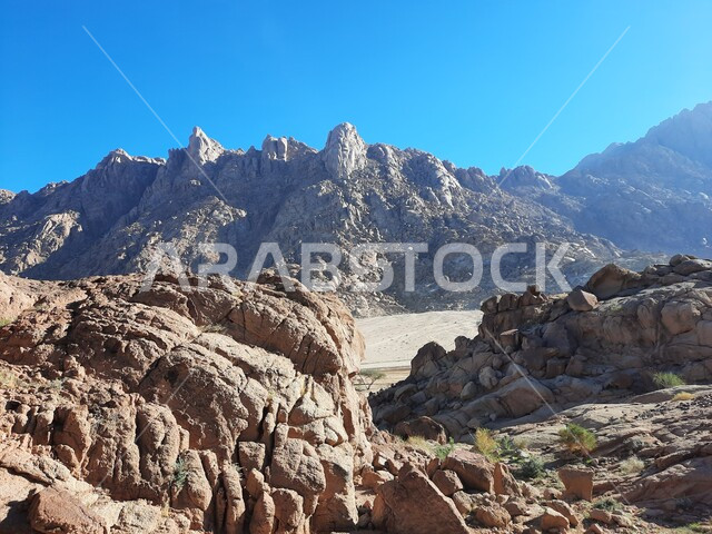 الاستمتاع بالمناظر الطبيعية في وقت النهار، سلسلة الجبال المجاورة لصخرة سبليت في مدينة تبوك الصحراوية، معالم اثرية تاريخية قديمة سياحية مشهورة، نمو النباتات والاعشاب البرية في المناطق المرتفعة، التكوينات والتشكيلات الصخرية والتضاريس في المملكة العربية السعودية