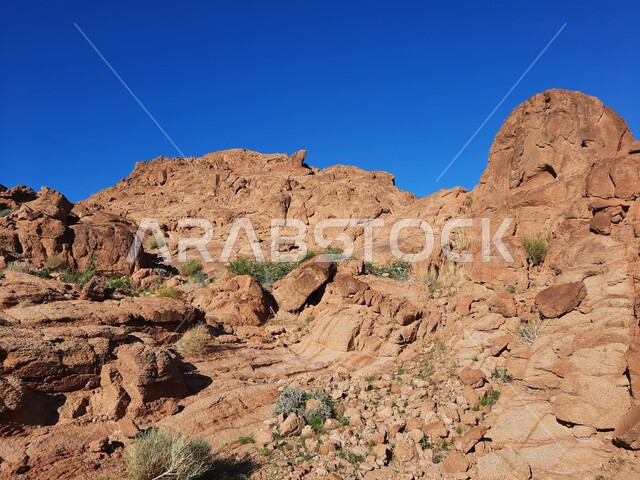  نمو النباتات والاعشاب البرية في المناطق المرتفعة، التكوينات والتشكيلات الصخرية والتضاريس في المملكة العربية السعودية، الاستمتاع بالمناظر الطبيعية في وقت النهار، سلسلة الجبال المجاورة لصخرة سبليت في مدينة تبوك الصحراوية، معالم اثرية تاريخية قديمة سياحية مشهورة