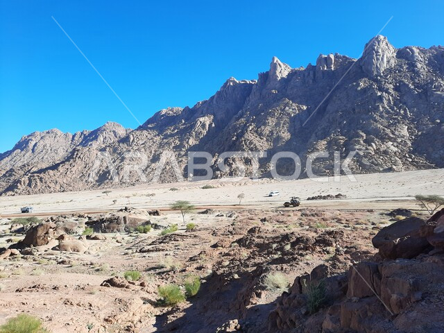  نمو النباتات والاعشاب البرية في المناطق المرتفعة، التكوينات والتشكيلات الصخرية والتضاريس في المملكة العربية السعودية، الاستمتاع بالمناظر الطبيعية في وقت النهار، سلسلة الجبال المجاورة لصخرة سبليت في مدينة تبوك الصحراوية، معالم اثرية تاريخية قديمة سياحية مشهورة