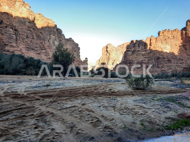 جبال رسوبية طبيعية، الزراعة والتشجير في المدن السياحية، النباتات البرية الخضراء في المناطق الصحراوية، أماكن اثرية تاريخية قديمة مشهورة في السعودية، التكوينات والتشكيلات الصخرية، التضاريس والنحت الصخري في وادي الديسة في تبوك