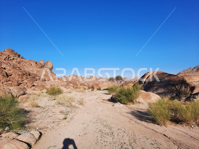  نمو النباتات البرية في الصحراء، سلسلة الجبال المجاورة لصخرة سبليت في مدينة تبوك الصحراوية، الاستمتاع بالمناظر الطبيعية في وقت النهار، التضاريس والنحت الصخري في المناطق المرتفعة، التكوينات والتشكيلات الصخرية في السعودية، معالم سياحية مشهورة