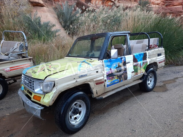 سيارة للرحلات والمغامرات البرية الاستكشافية في وادي الديسة، المناطق الصحراوية والكثبان الرملية في البراري، معالم اثرية تاريخية قديمة، اماكن سياحية مشهورة في السعودية، سلسلة الجبال والتكوينات والتشكلات الصخرية في منطقة تبوك 