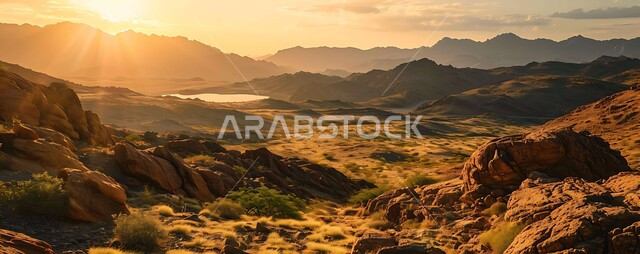 النباتات الصحراوية الشوكية والأعشاب في الأراضي البرية، جدول ماء وسط الأراضي الحيوية العشبية، غروب وشروق الشمس بين الجبال والتضاريس المتنوعة، خلفية الطبيعة في المملكة العربية السعودية