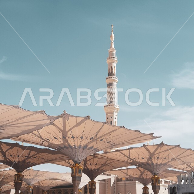 معالم وأماكن دينية مشهورة في المملكة العربية السعودية, المظلات الالكترونية في ساحة الحرم النبوي الشريف في المدينة المنورة, العبادة والتقرب إلى تعالى, قدوم المسلمين من شتى أنحاء العالم إلى المسجد النبوي لأداء العبادات والفرائض