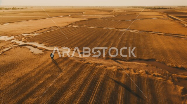 Fields and agricultural lands in the Kingdom of Saudi Arabia, interest in increasing green space, plowing and turning the soil, Saudi automated progress, large areas of fine golden sand