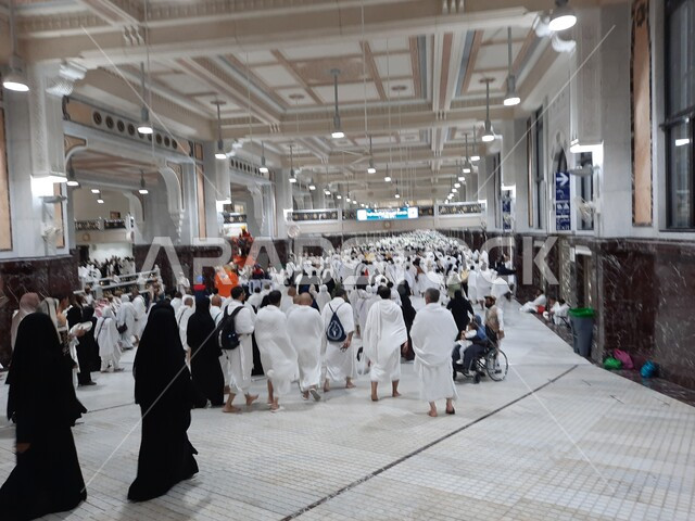 The concept of worship and getting closer to God, the destination of Muslims from different countries to perform religious duties, a picture from the back of pilgrims to the Sacred House of God wearing white Ihram clothes at the time of the Sa’y between Safa and Marwa, Islamic holy places, Hajj season in the Kingdom of Saudi Arabia.
