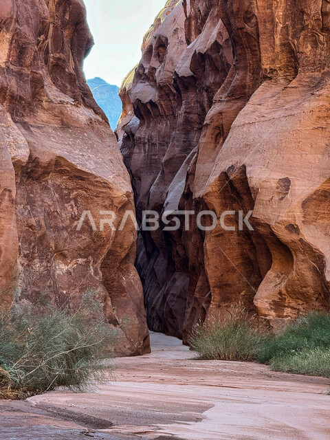 نمو النباتات البرية الخضراء، صخور طبيعية رسوبية، النحت الصخري في المناطق الصحراوية مضيق بين جبلين في صحراء حسمى في جدة، الحضارة والآثار التاريخية القديمة, التكوينات والتشكيلات الصخرية في منطقة تبوك, أماكن سياحية في المملكة