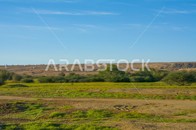 قضاء وقت ممتع في الهواء الطلق، مناطق وأماكن الزراعة في المملكة العربية السعودية, الأراضي والحقول الزراعية الخضراء في مدينة جدة, الاستمتاع بالمناظر الطبيعية في وقت النهار