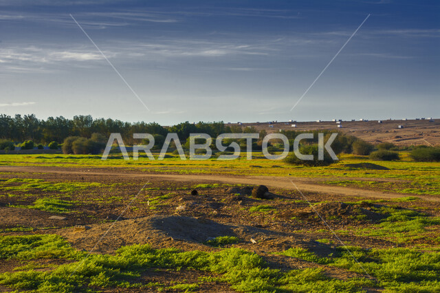 قضاء وقت ممتع في الهواء الطلق، مناطق وأماكن الزراعة في المملكة العربية السعودية, الأراضي والحقول الزراعية الخضراء في مدينة جدة, الاستمتاع بالمناظر الطبيعية في وقت النهار