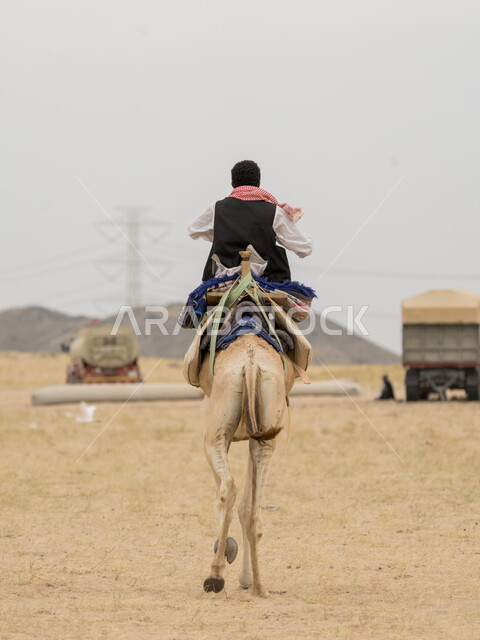 Using animals to move in the desert from one place to another, raising livestock in natural reserves, sand dunes in desert areas in Saudi Arabia, a picture from behind of a Saudi Gulf Arab man riding a camel in the desert, the importance of caring for camels in the Kingdom of Saudi Arabia