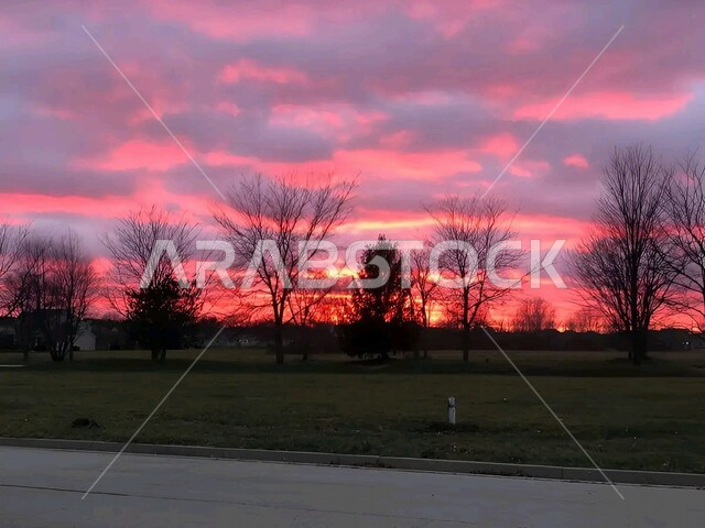 منظر السماء الحمراء نهارا, أغصان الأشجار الجافة, الفروع الخالية من الأوراق, المناظر الطبيعية في فصل الخريف, الأراضي والحقول الزراعية في المملكة العربية السعودية