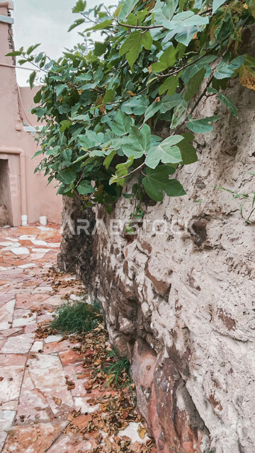 الاهتمام في زراعة النباتات و الأشجار الخضراء في إحدى القرى، الفن الهندسي المعماري للمعالم و الأماكن الأثرية القديمة في المدن التاريخيه، صورة لمباني ومنازل مبنية على الطراز القديم في قرية آل ينفع في منطقة عسير في السعودية في وقت النهار