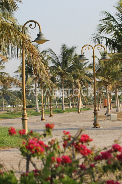معالم و مناطق سياحية، الكورنيش و الواجهة البحرية في المملكة العربية السعودية, المناظر الطبيعيه و الأشجار والأماكن الترفيهية في الخليج، الاطلالة الساحلية للبحر