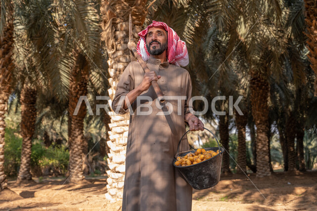 منتجات ومحاصيل وطنية محلية ،النظر الى شيء ما بايماءات السرور، شاب عربي خليجي سعودي يرتدي الزي الشعبي يحمل بيده الفأس و دلو مليء بالرطب، موسم الحصاد وجني الثمار في مزارع النخيل، اتقان مهنة الزراعه والفلاحة، دور الفلاحين السعوديين في رعاية الاراضي الزراعية