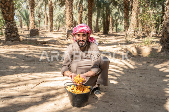 الجلوس على الأرض والنظر إلى الكاميرا بإيماءات السرور، المحافظة على التراث الزراعي الغني، فلاح عربي خليجي سعودي يرتدي الزي الشعبي ويحمل بين كفيه حبات الرطب الطازج، منتجات ومحاصيل وطنية محلية، دور الفلاحين السعوديين في رعاية الاراضي الزراعية